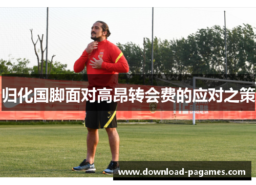 归化国脚面对高昂转会费的应对之策 归化国脚面对高昂转会费的应对之策